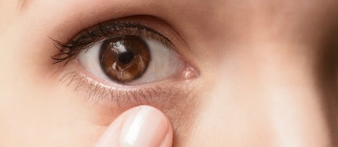 shutterstock_1789015851
