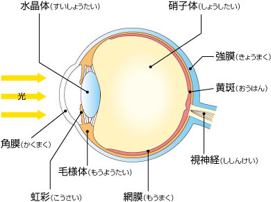 kouzou