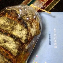 乙益由美子さんから
