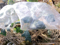 2b3ec402.jpg