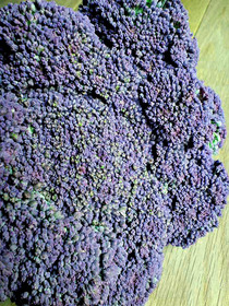 5d369f36.jpg