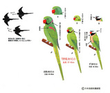 7ff08c13.jpg