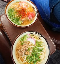 若松駅のかしわうどん