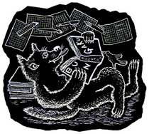 c6cc3137.jpg