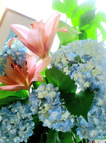 110608º×ÃÅ