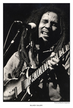 Bob Marley展DM