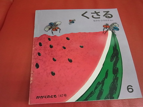RIMG0019