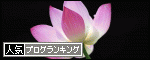 br_decobanner_20120108162905