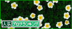 br_decobanner_20111201133208