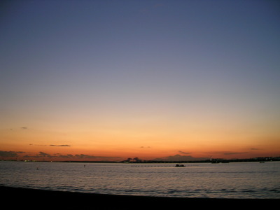 DSCN0954