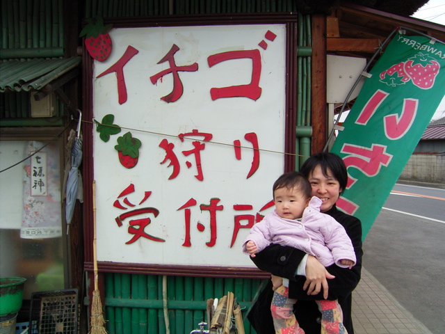 イチゴ狩り
