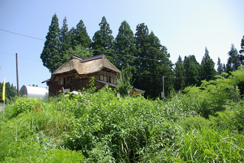 IMGP3392