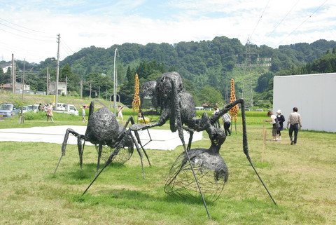 IMGP3322