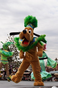 2377364c.JPG