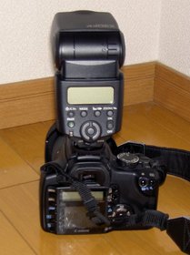2ade8180.JPG