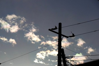 彩雲。