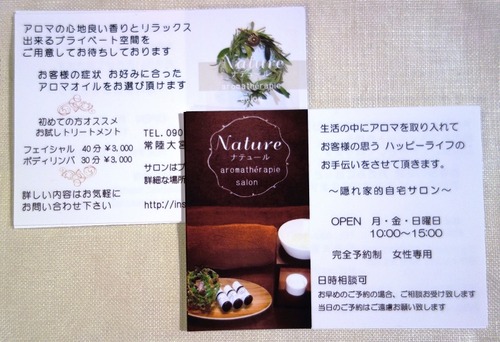 Nature ¥Ê¥Æ¥å¡½¥ë