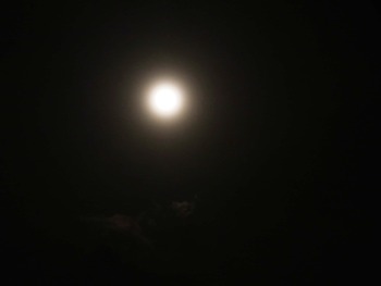月光。