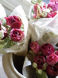 Roses