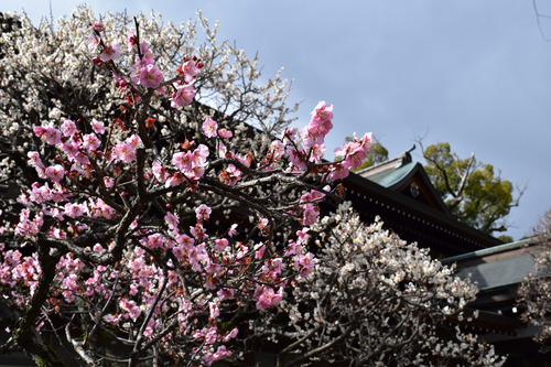 三島神社