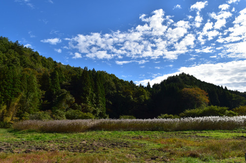 yama