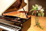 blog