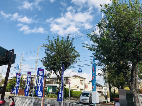 FBA48C20-D6F5-44BC-9803-7FB669C8C955