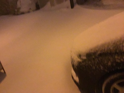 8503CC71-CC08-4F8C-8A59-B8710CE3605B