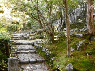P1000407