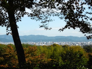 P1000413