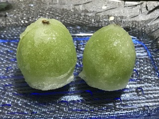 IMG_8949