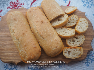スペルトサワー種+グルテンフリーサワー種 スペルト小麦パン