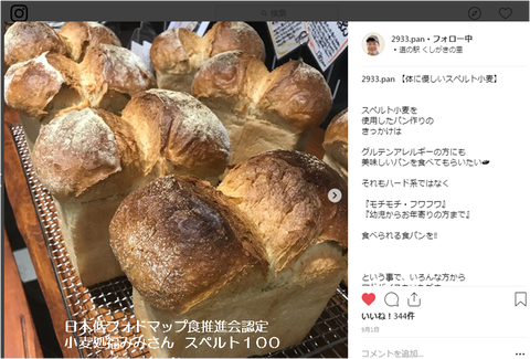 スペルト100 低フォドマップ食 小麦処福みみさん