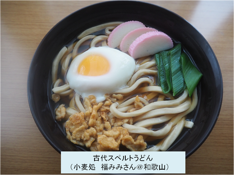 古代スペルトうどん