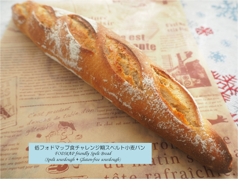 スペルト小麦パン スペルトサワー種+グルテンフリーサワー種