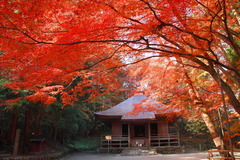 kokuhou_03