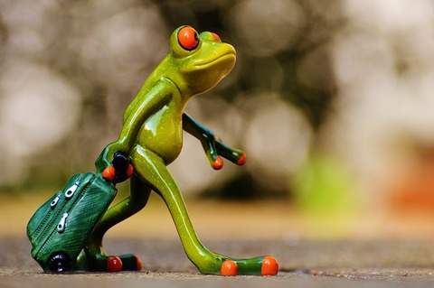 frog-1033313_640