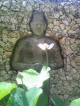 �Х�04