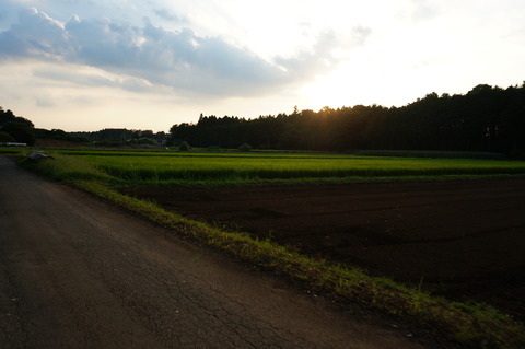 DSC04699