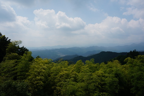 DSC04603