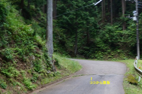 DSC03335s