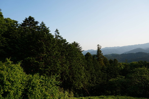 DSC02197