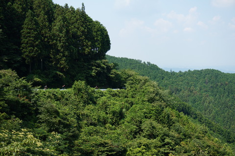DSC04660