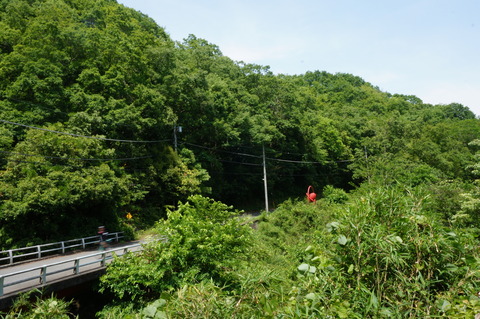 DSC02977