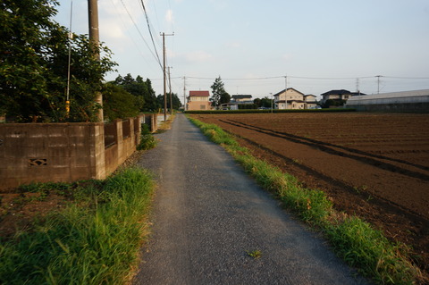 DSC04695