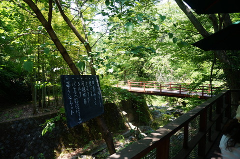 DSC02065