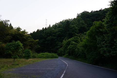 DSC02245