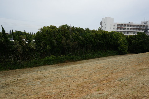 DSC02497