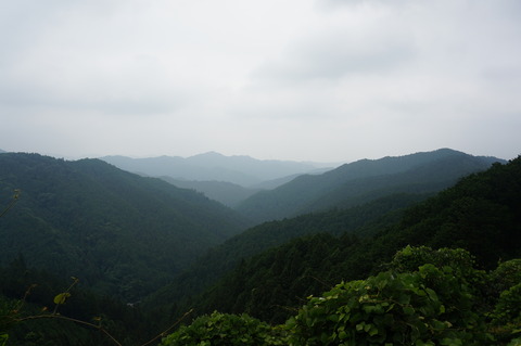 DSC03405