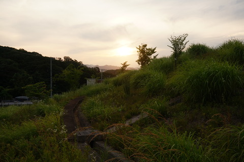 DSC03133